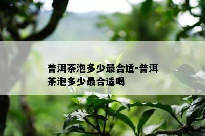 普洱茶泡多少最合适-普洱茶泡多少最合适喝