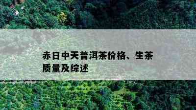 赤日中天普洱茶价格、生茶质量及综述