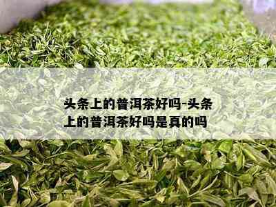 头条上的普洱茶好吗-头条上的普洱茶好吗是真的吗