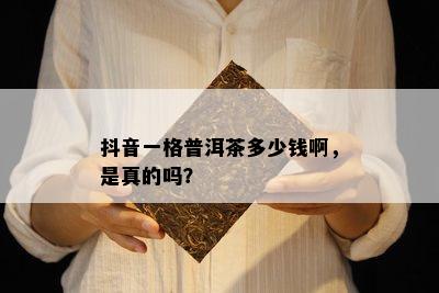 抖音一格普洱茶多少钱啊，是真的吗？