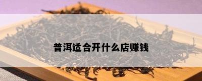 普洱适合开什么店赚钱