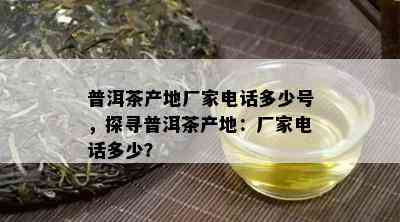 普洱茶产地厂家电话多少号，探寻普洱茶产地：厂家电话多少？