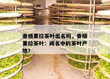 香格里拉茶叶出名吗，香格里拉茶叶：闻名中的茶叶产地？