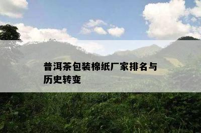 普洱茶包装棉纸厂家排名与历史转变