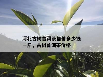 河北古树普洱茶售价多少钱一斤，古树普洱茶价格