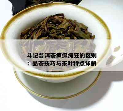 斗记普洱茶疯癫痴狂的区别：品茶技巧与茶叶特点详解