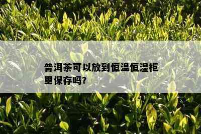 普洱茶可以放到恒温恒湿柜里保存吗？