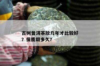 古树普洱茶放几年才比较好？保质期多久？