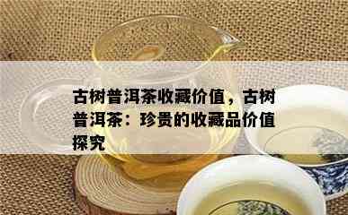 古树普洱茶收藏价值，古树普洱茶：珍贵的收藏品价值探究