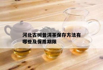 河北古树普洱茶保存方法有哪些及保质期限