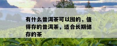 有什么普洱茶可以囤的，值得存的普洱茶，适合长期储存的茶