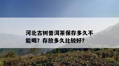 河北古树普洱茶保存多久不能喝？存放多久比较好？