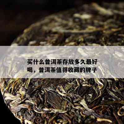 买什么普洱茶存放多久更好喝，普洱茶值得收藏的牌子