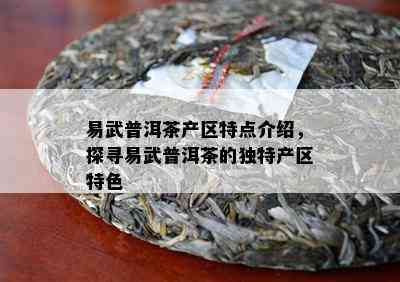 易武普洱茶产区特点介绍，探寻易武普洱茶的独特产区特色