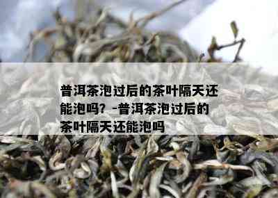 普洱茶泡过后的茶叶隔天还能泡吗？-普洱茶泡过后的茶叶隔天还能泡吗