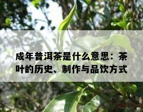 成年普洱茶是什么意思：茶叶的历史、制作与品饮方式