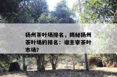 扬州茶叶场排名，揭秘扬州茶叶场的排名：谁主宰茶叶市场？