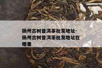 扬州古树普洱茶批发地址-扬州古树普洱茶批发地址在哪里