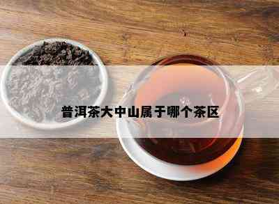 普洱茶大中山属于哪个茶区