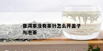 普洱茶没有茶针怎么开盖子与泡茶