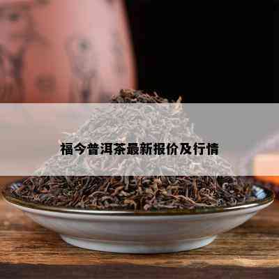 福今普洱茶最新报价及行情