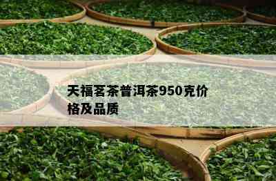 天福茗茶普洱茶950克价格及品质