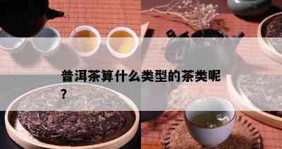 普洱茶算什么类型的茶类呢？