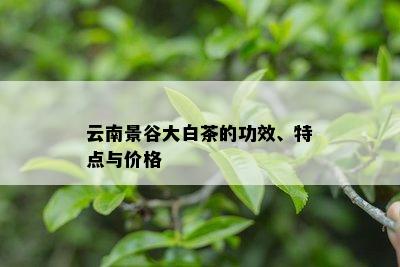 云南景谷大白茶的功效、特点与价格