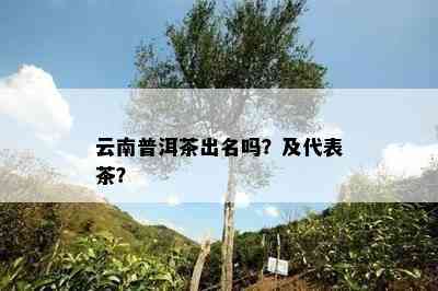 云南普洱茶出名吗？及代表茶？