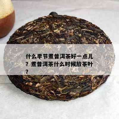 什么季节煮普洱茶好一点儿？煮普洱茶什么时候放茶叶？