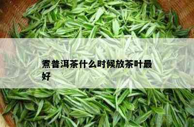 煮普洱茶什么时候放茶叶更好