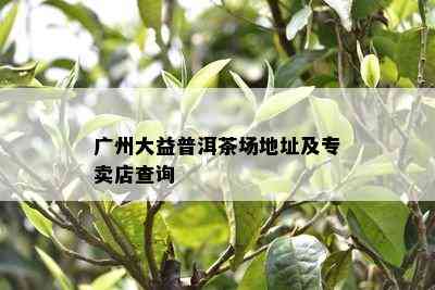 广州大益普洱茶场地址及专卖店查询