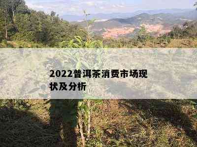 2022普洱茶消费市场现状及分析