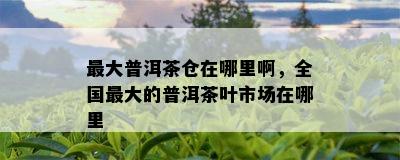 更大普洱茶仓在哪里啊，全国更大的普洱茶叶市场在哪里