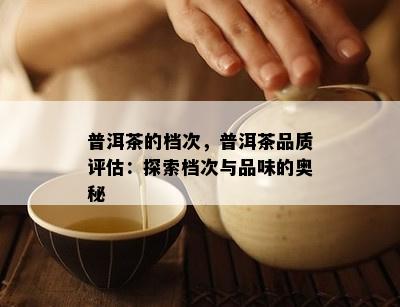 普洱茶的档次，普洱茶品质评估：探索档次与品味的奥秘