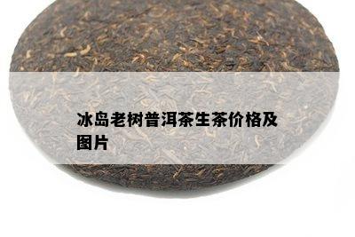 冰岛老树普洱茶生茶价格及图片