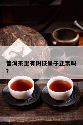 普洱茶里有树枝果子正常吗？