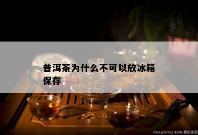 普洱茶为什么不可以放冰箱保存