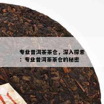 专业普洱茶茶仓，深入探索：专业普洱茶茶仓的秘密