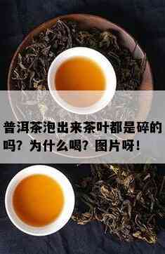 普洱茶泡出来茶叶都是碎的吗？为什么喝？图片呀！