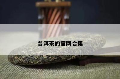 普洱茶的官网合集