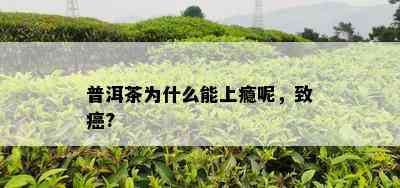 普洱茶为什么能上瘾呢，致癌?