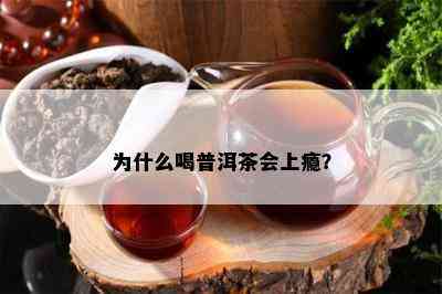 为什么喝普洱茶会上瘾？