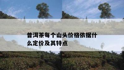 普洱茶每个山头价格依据什么定价及其特点