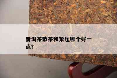 普洱茶散茶和紧压哪个好一点？