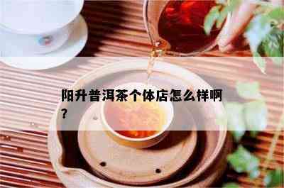 阳升普洱茶个体店怎么样啊？