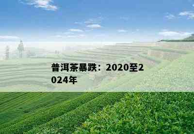 普洱茶暴跌：2020至2024年