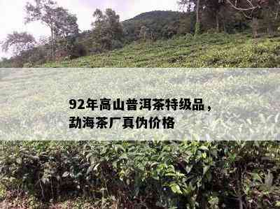 92年高山普洱茶特级品，勐海茶厂真伪价格