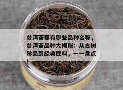 普洱茶都有哪些品种名称，普洱茶品种大揭秘：从古树珍品到经典原料，一一盘点！