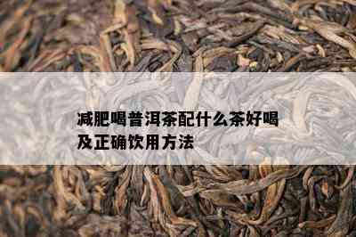 减肥喝普洱茶配什么茶好喝及正确饮用方法